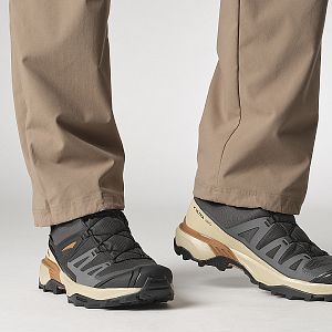 Salomon X Ultra 360 GTX M phantom / safari / caramel cafe
