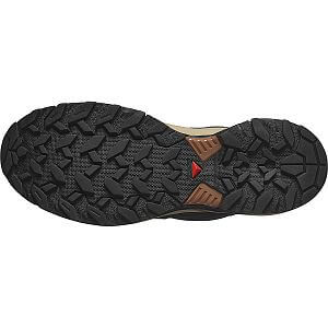 Salomon X Ultra 360 GTX M phantom / safari / caramel cafe

