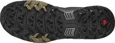 Salomon X Ultra 4 LTR GTX desert palm/black/kangaroo4