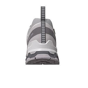 Salomon XA Pro 3d v9 GTX W alloy / castlerock