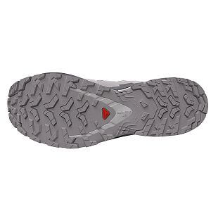Salomon XA Pro 3d v9 GTX W alloy / castlerock