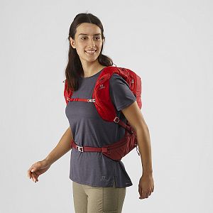 Salomon XT 15 goji berry2