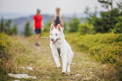 Six to nine na Dolní Moravě – fotogalerie