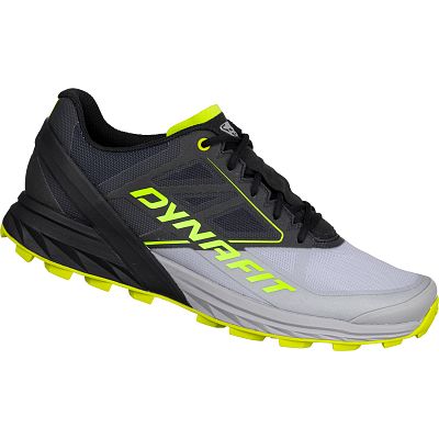 Dynafit Alpine M magnet alloy/black out