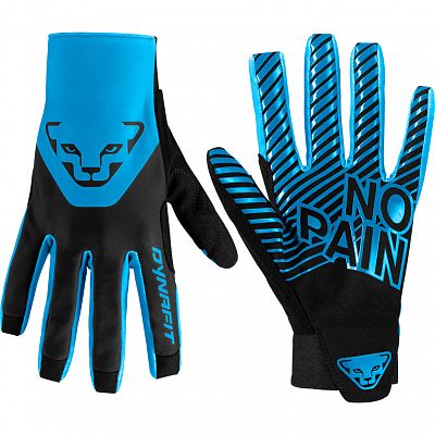 Dynafit DNA 2 Gloves frost