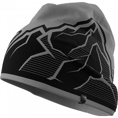 Dynafit Graphic Beanie alloy