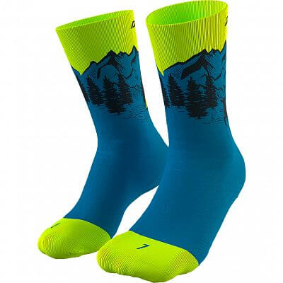 Dynafit Stay Fast Socks reef