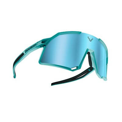 Dynafit Trail Evo Sunglasses marine blue/blueberry cat 3