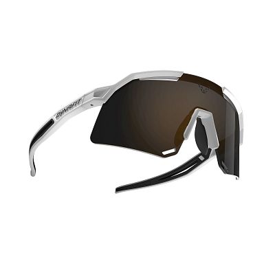 Dynafit Ultra Sunglasses white / black