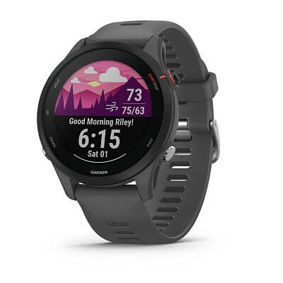 Garmin Forerunner 255 Basic slate gray