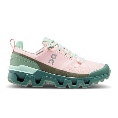 On Cloudwander Waterproof W doe/ivy
