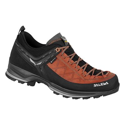 Salewa MS MTN Trainer 2 GTX autumnal black