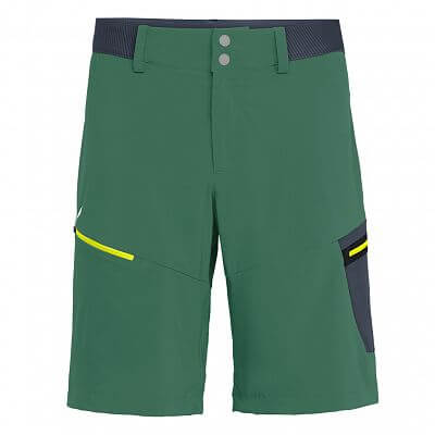 Salewa Pedroc Cargo 2 Durastretch M Shorts myrtle