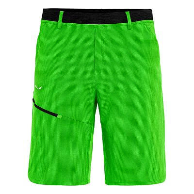 Salewa Puez 3 DST M Shorts pale frog