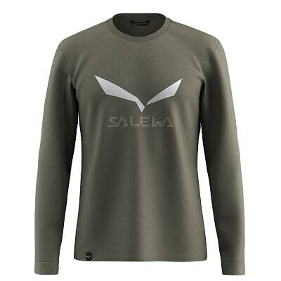 Salewa Solid Logo Dry M L/S Tee faded green