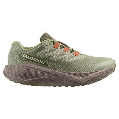 Salomon Aero Blaze 3 GRVL Gore-Tex M tea / iron