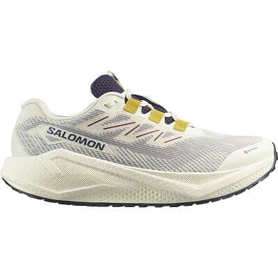 Salomon Aero Blaze 3 GRVL Gore-Tex M vanilla ice / astral aura / lemon