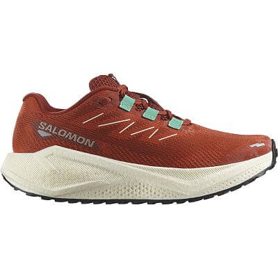Salomon Aero Blaze 3 GRVL W burnt ochre / vanilla ice / etherea