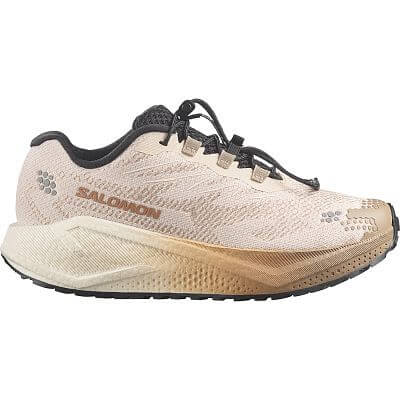 Salomon Aero Blaze 4 GRVL W tapioca / vanilla ice