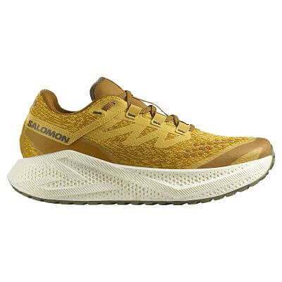 Salomon Aero Glide 3 GRVL M spicy mustard / vanilla ice / deep lichen green