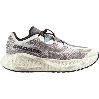 Salomon Aero Glide 4 GRVL M vanilla ice / black