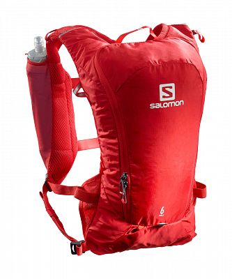 SALOMON Agile 6 Set goji berry