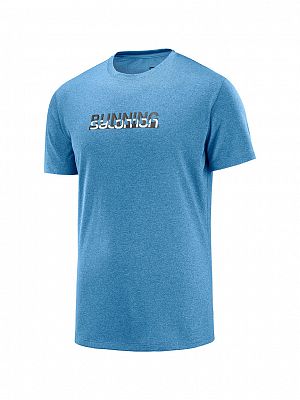 SALOMON Agile Graphic Tee M flint ston