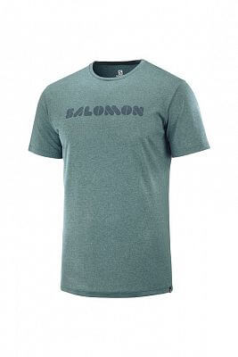 SALOMON Agile Graphic Tee M green gabl