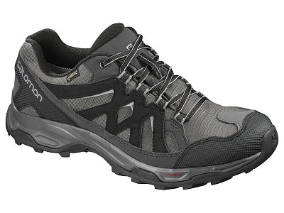 Salomon Effect GTX M magnet/black/monument