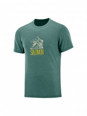 SALOMON Explore Graphic SS Tee M balsam green