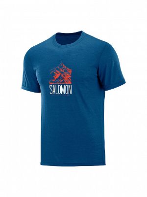 SALOMON Explore Graphic SS Tee M poseidon