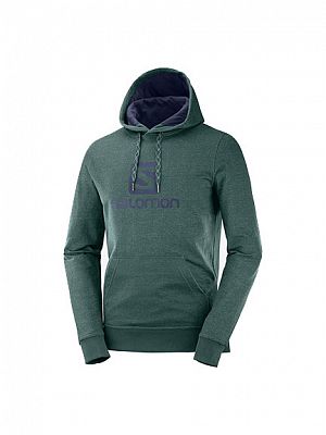 SALOMON Logo Hoodie M green geables