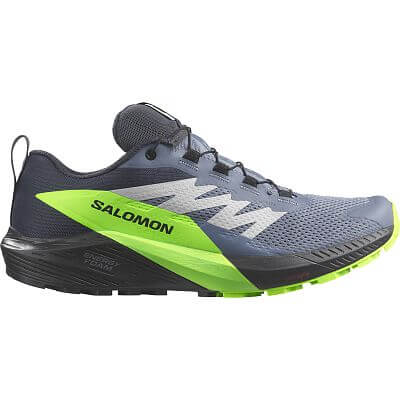 Salomon Sense Ride 5 GTX M flint stone / black / green gecko