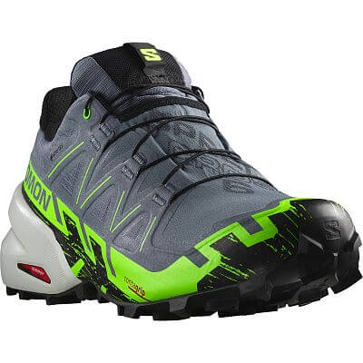 Salomon Speedcross 6 GTX / flint stone / green gecko / black