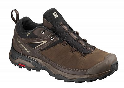 SALOMON X ULTRA 3 LTR GTX DELICIOSO/BUNGEE