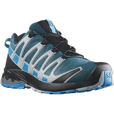 Salomon XA PRO 3D v8 GTX M legion / blithe / pear