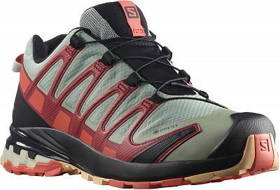 Salomon XA PRO 3D v8 GTX W wrought iron / bur