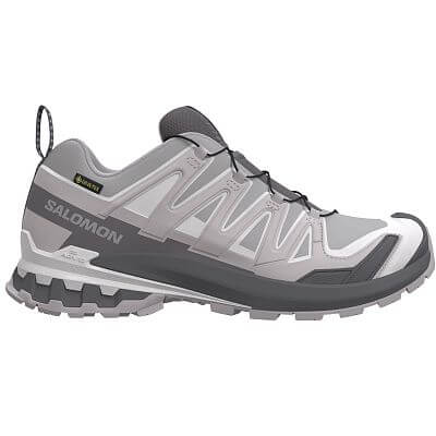 Salomon XA Pro 3d v9 GTX W alloy / castlerock