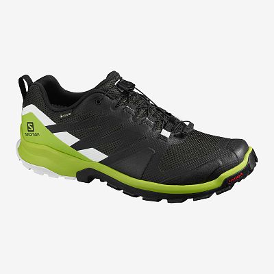 Salomon XA Rogg GTX M phantom/lime green/wht