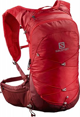 Salomon XT 15 goji berry