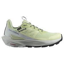 Salomon Elixir Activ GTX W celadon green / glacier gray / phantom