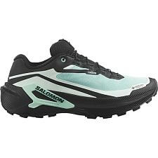 Salomon Genesis 2 Gore-Tex W lichen / black / clearly aqua