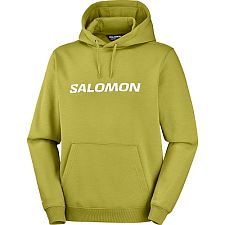 Salomon Hoodie M cardamon seed