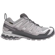 Salomon XA Pro 3d v9 GTX W alloy / castlerock