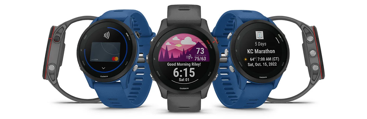 Garmin Forerunner 255 – Basic/Slate gray